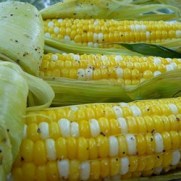 grilled corn on the cob