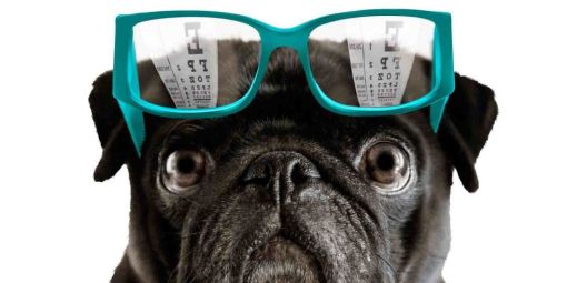 landscape-1439831986-eyes