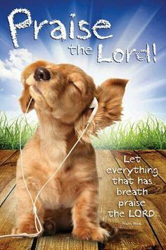 dog praising the lord