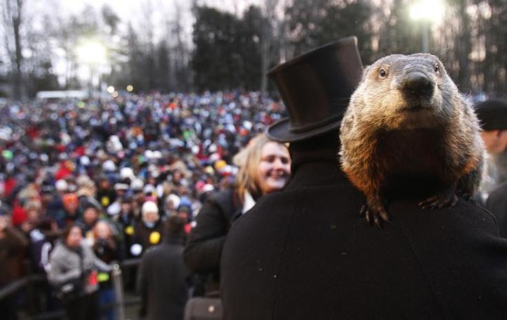 groundhog-day-2014