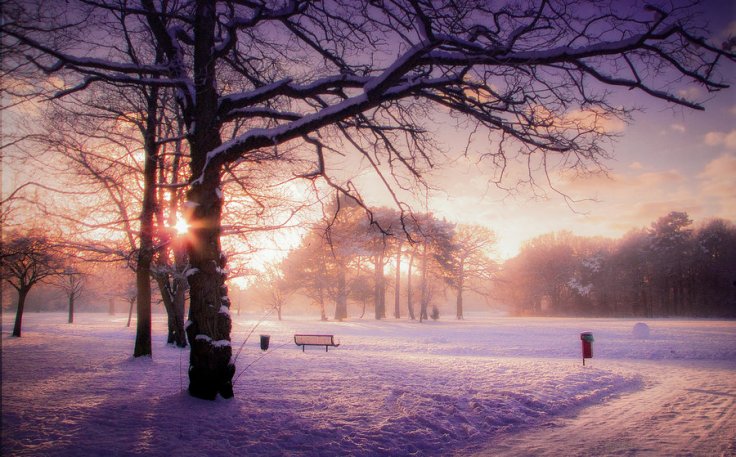 stock__winter_sunset_1_by_needanewname-d4t4avh