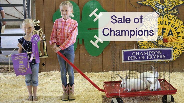 sale of champions_v