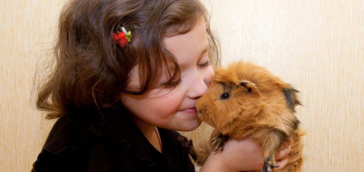 love-your-pet-day1-e1424355678206-804x382