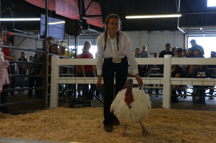 Sale of Champions Pic 1