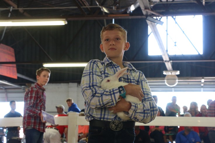 Sale of Champions Pic 3